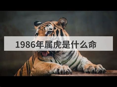 1986虎